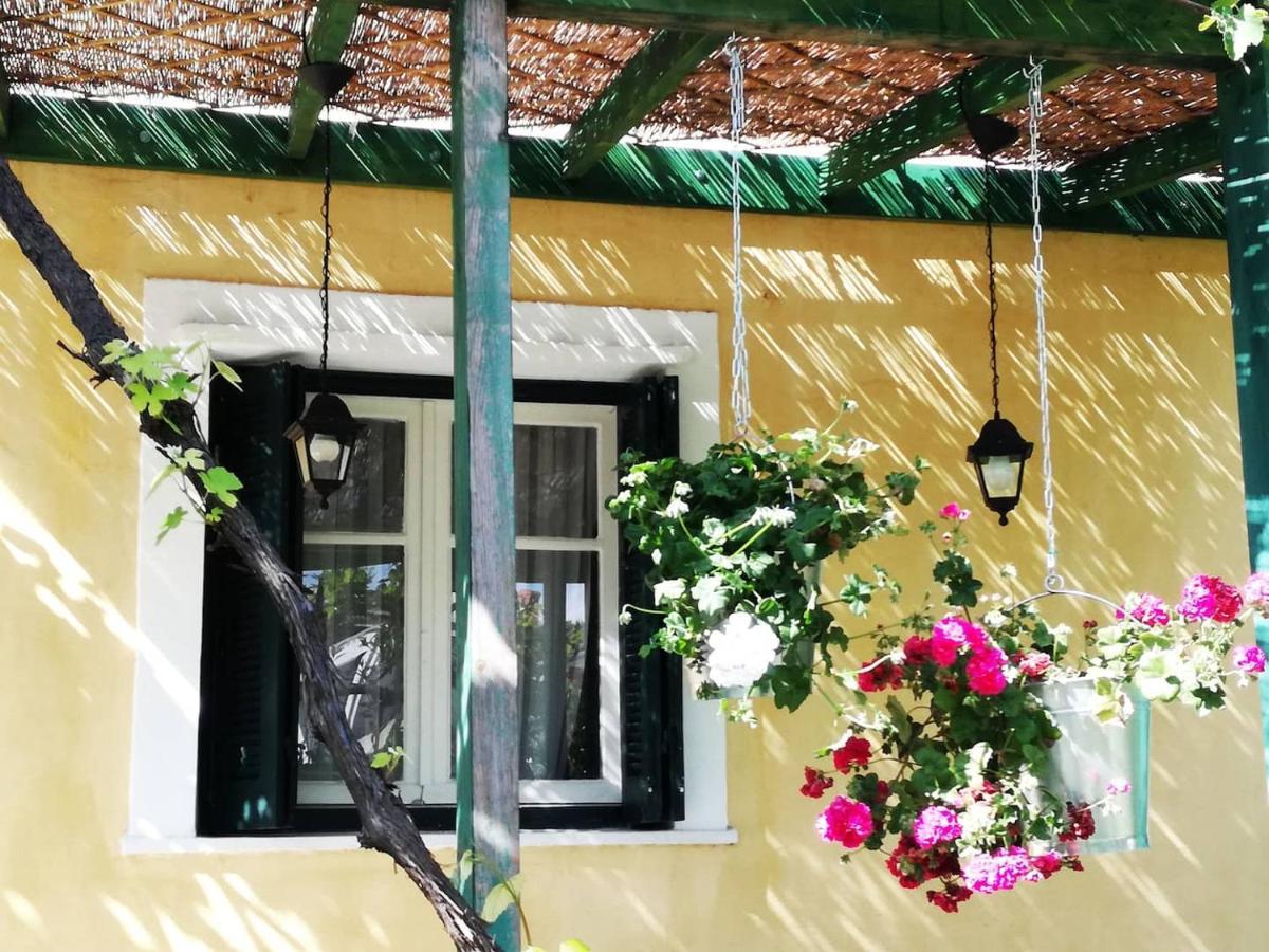Villa Garden House In Corfu Corfu  Esterno foto